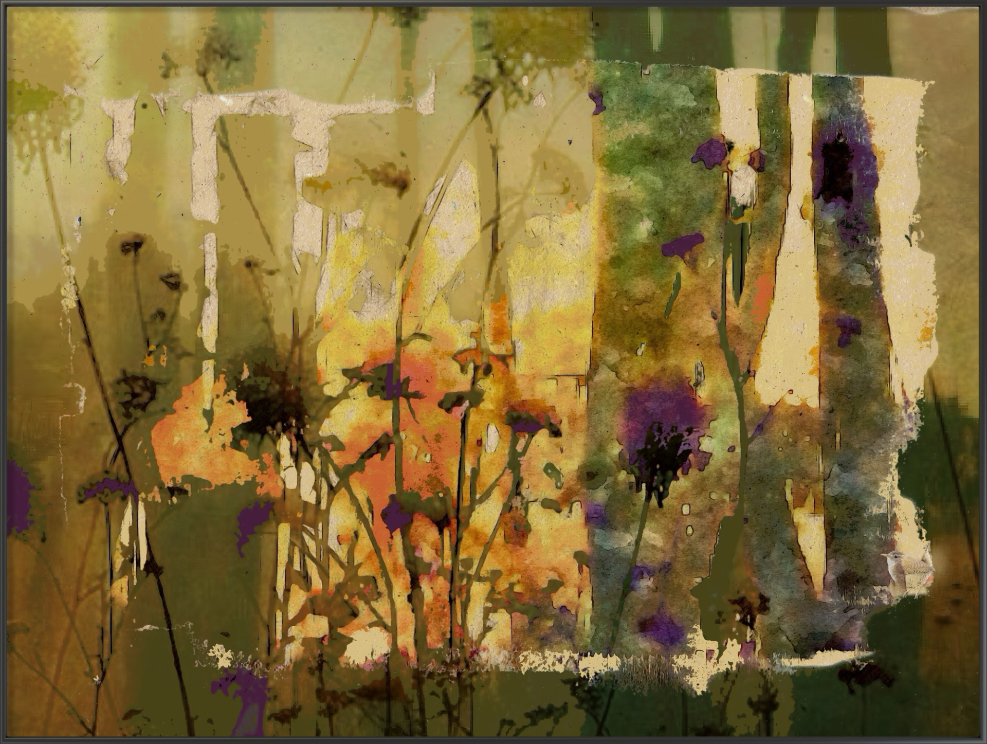 “NATURE IN BALANCE”