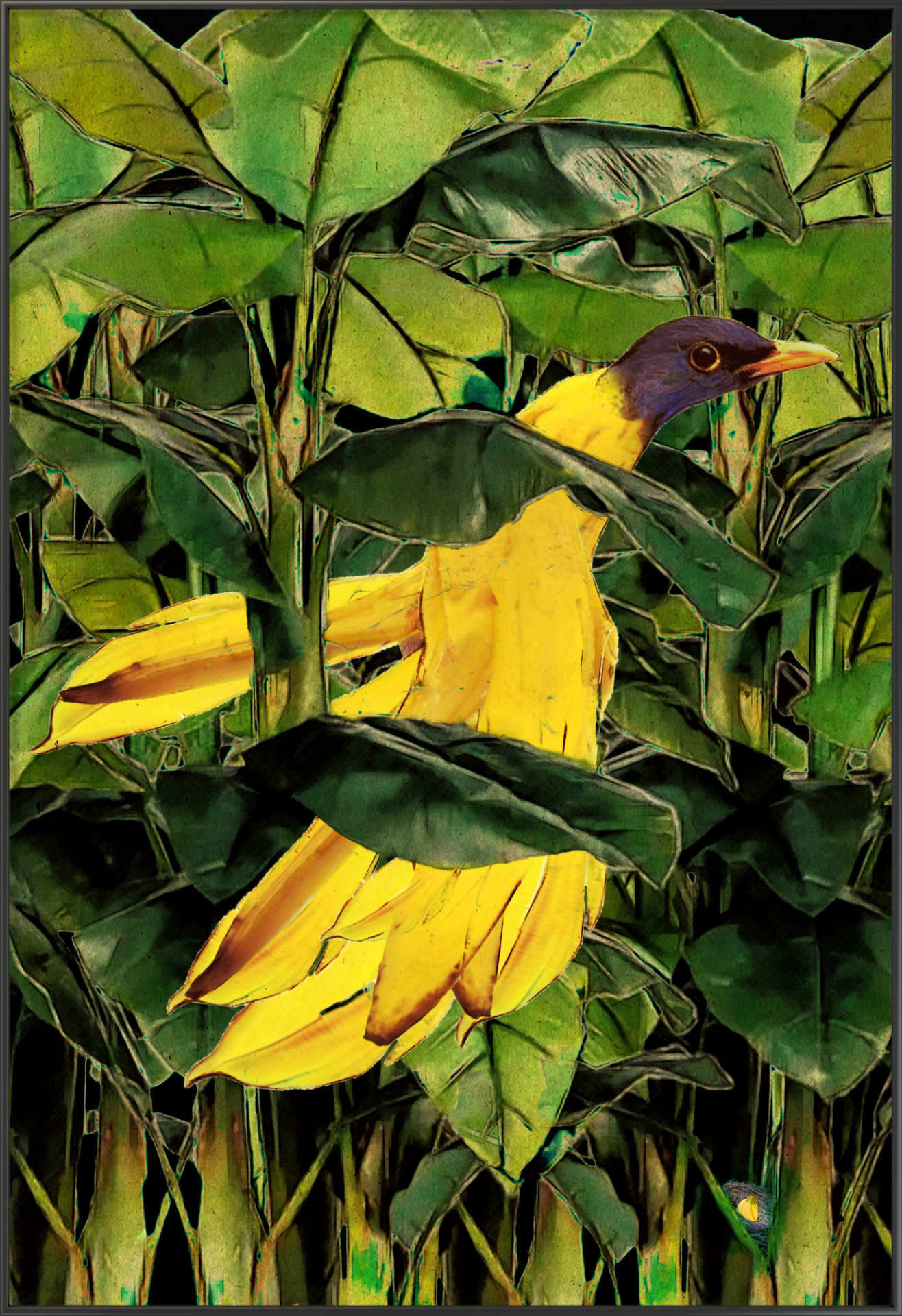 ”BANANABIRD”